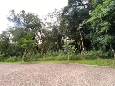 Lote/Terreno à venda, 686m² no Pinheiro Grosso, Canela
