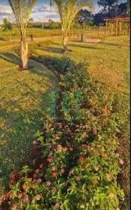 Lote/Terreno à venda, 360m² no Betel, Paulínia