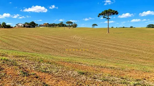 Fazenda/Sítio com 3 Quartos à venda, 1103149m² no Zona Rural, Lapa