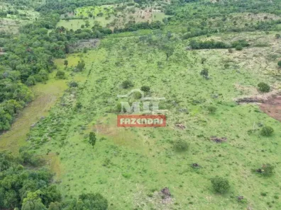 Fazenda/Sítio à venda, 500m² no , Montividiu do Norte