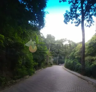 Lote/Terreno à venda, 2061m² no Camarão, Ilhabela