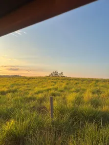 Fazenda/Sítio à venda, 508000m² no , Nova Olímpia