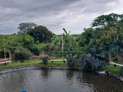 Fazenda/Sítio com 3 Quartos à venda, 2900m² no Rural, Tarumã