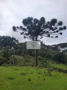 Fazenda/Sítio com 2 Quartos à venda, 85107m² no , Campo Alegre