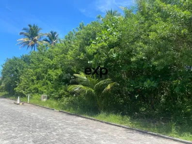 Lote/Terreno à venda, 1000m² no , Cairu