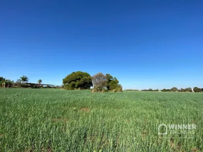 Lote/Terreno à venda, 700000m² no Gleba Patrimônio Maringá, Maringá