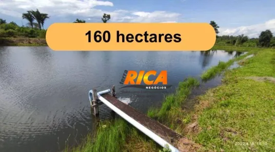 Fazenda/Sítio à venda, 1600000m² no Área Rural de Porto Velho, Porto Velho