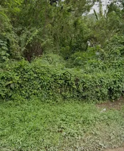 Lote/Terreno à venda, 450m² no Itaipu, Niterói