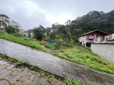Lote/Terreno à venda, 559m² no Desvio Rizzo, Caxias do Sul