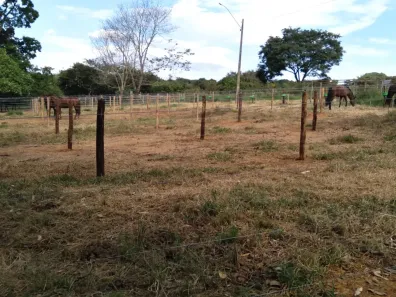 Fazenda/Sítio com 4 Quartos à venda, 15000m² no Virgínia Parque, Aparecida de Goiânia