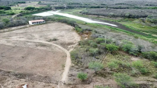 Fazenda/Sítio com 3 Quartos à venda, 3210000m² no Paizinho Maria, Currais Novos
