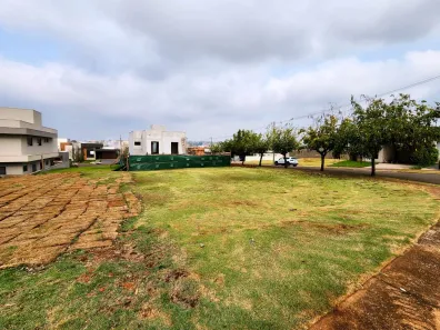 Lote/Terreno à venda, 355m² no Conjunto Habitacional Alexandre Urbanas, Londrina