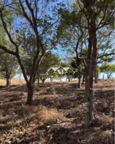Fazenda/Sítio com 2 Quartos à venda, 70m² no Santo Antônio, Paty do Alferes