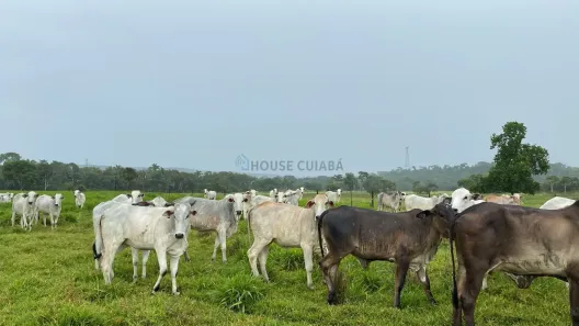 com 2 Quartos à venda, 100m² no Área Rural de Rondonópolis, Rondonópolis