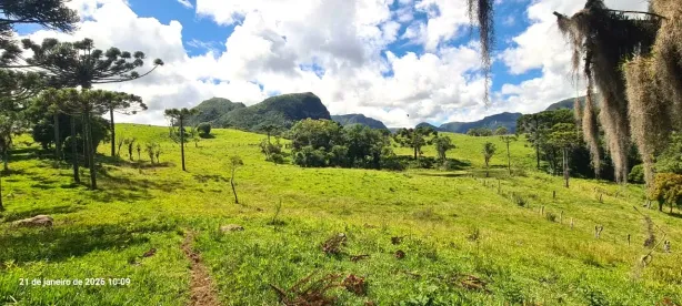 Fazenda/Sítio com 2 Quartos à venda, 1130000m² no , Alfredo Wagner