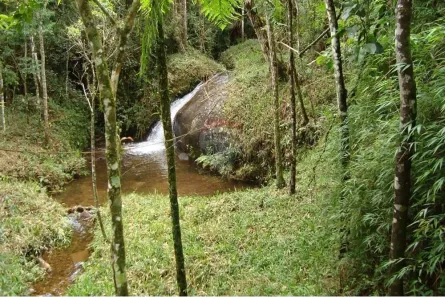 Fazenda/Sítio à venda, 1140000m² no , Joanópolis