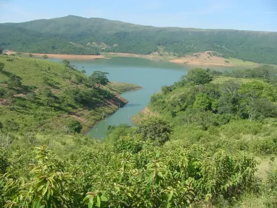Fazenda/Sítio à venda, 60000m² no , Guapé