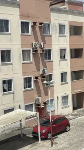 Apartamento com 2 Quartos à venda, 52m² no Lagoa Salgada, Feira de Santana