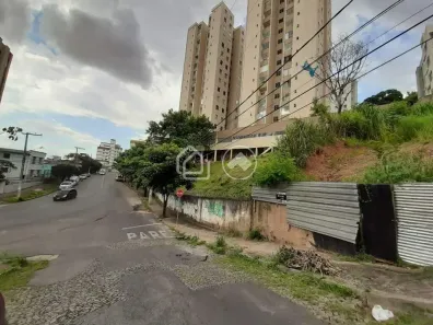 Lote/Terreno à venda, 369m² no Nova Suíssa, Belo Horizonte
