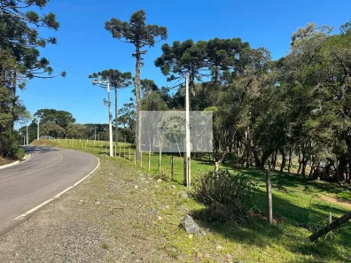Fazenda/Sítio com 1 Quarto à venda, 20000m² no Bateias de Baixo, Campo Alegre