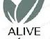 Miniatura da foto de Alive Imóveis Ltda