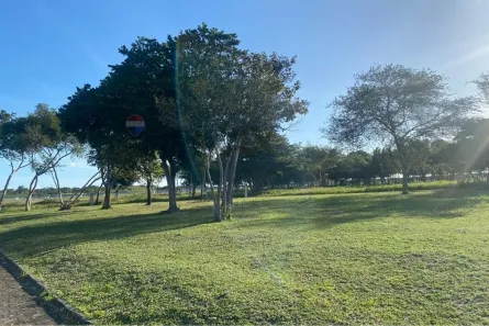 Lote/Terreno à venda, 1000m² no pau brasil, São José de Mipibu