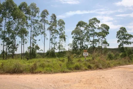 Fazenda/Sítio à venda, 15000m² no , Caetanópolis