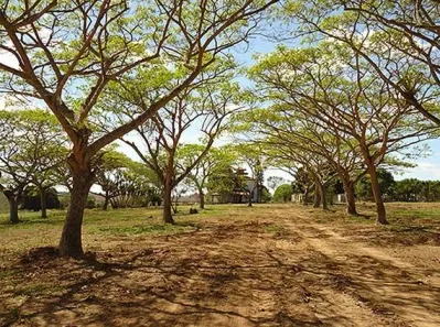 Lote/Terreno à venda, 200m² no Centro, Conceição da Feira