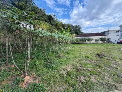 Lote/Terreno à venda, 1408m² no Santa Rita, Brusque