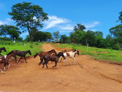 Lote/Terreno à venda, 20000m² no Universitário, Sete Lagoas