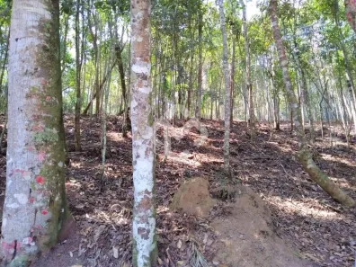 Lote/Terreno à venda, 4625m² no Fazenda Boa Fé, Teresópolis