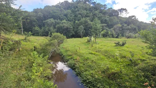 Lote/Terreno à venda, 22557m² no Laranjeiras, Campo Alegre