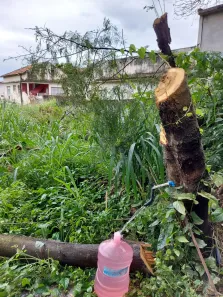 Lote/Terreno à venda, 35000m² no Riachuelo, Rio de Janeiro