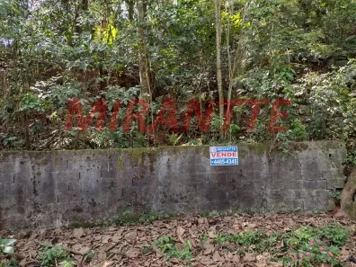 Lote/Terreno à venda, 1177m² no Tucuruvi, São Paulo