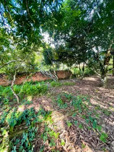 Lote/Terreno à venda, 2250m² no Tiúma, São Lourenço da Mata