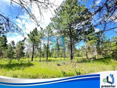 Lote/Terreno à venda, 3223m² no Dona Catarina, Mairinque