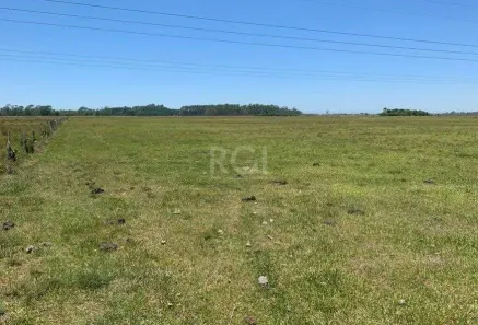 Lote/Terreno à venda, 12500m² no Figueirinha, Arroio do Sal