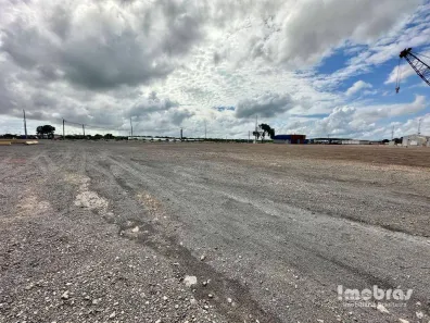 Lote/Terreno para alugar, 5000m² no Porto, São Gonçalo do Amarante