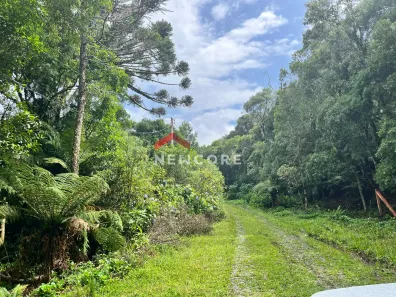 Lote/Terreno à venda, 9700m² no Centro, São Francisco de Paula