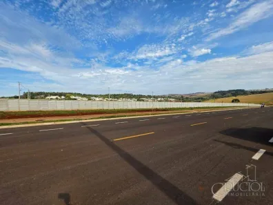 Lote/Terreno à venda, 258m² no Olímpico, Londrina