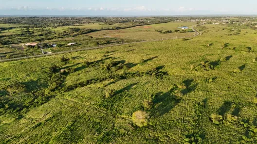 Fazenda/Sítio com 4 Quartos à venda, 1030000m² no , Monte Alegre