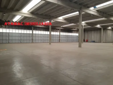 Galpão/Depósito/Armazém para alugar, 3054m² no Parque Novo Mundo, São Paulo