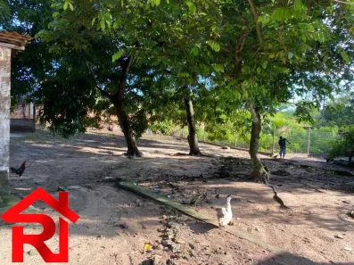 Lote/Terreno à venda, 10500m² no Tibiri, São Luís
