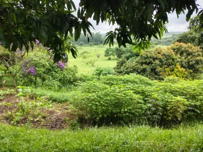 Fazenda/Sítio à venda, 630000m² no Rio Abaixo, Jacareí