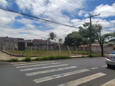 Lote/Terreno para alugar, 900m² no Umuarama, Uberlândia