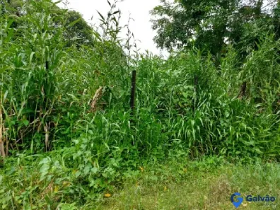 Lote/Terreno à venda, 432m² no Boracéia, São Sebastião