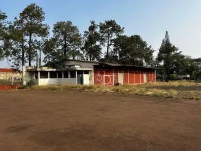 Galpão/Depósito/Armazém à venda, 11500m² no Jardim Rosicler, Londrina