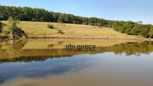 Fazenda/Sítio com 9 Quartos à venda, 251300m² no Centro, Rafard