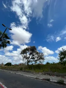 Lote/Terreno para alugar, 3900m² no Cambeba, Fortaleza