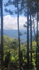 Fazenda/Sítio com 1 Quarto à venda, 20000m² no , Urubici